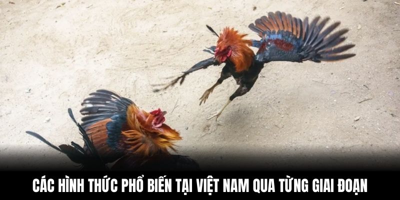 Các hình thức phổ biến tại Việt Nam qua từng giai đoạn