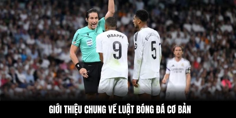 Giới thiệu chung về luật bóng đá cơ bản
