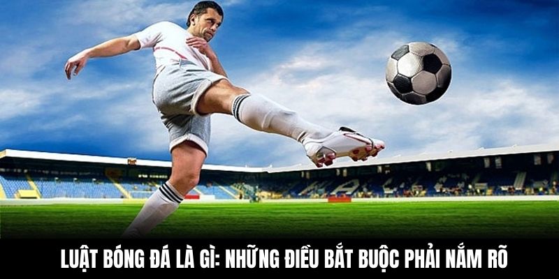 Luật Bóng Đá Là Gì: Những Điều Bắt Buộc Phải Nắm Rõ