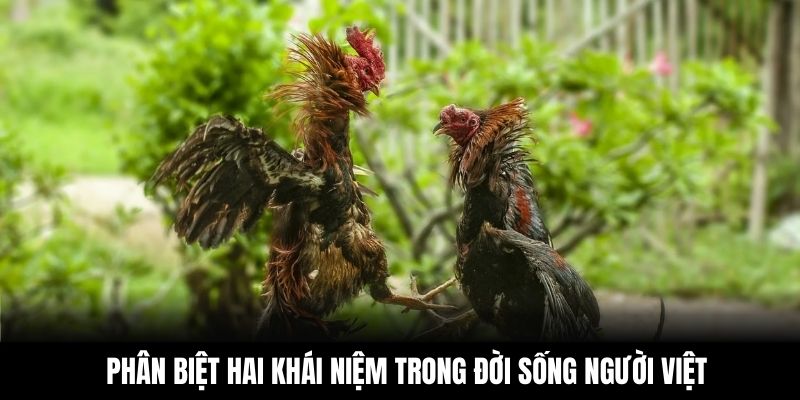 Phân biệt hai khái niệm trong đời sống người Việt